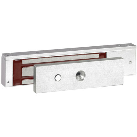 Ventouse Premium 300kg (005570)