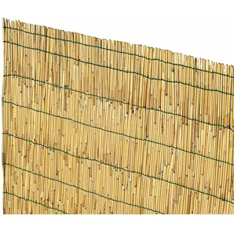 Arella 'Chine' en cannes de bambou pelées, 2x3 m, bambou pour clôtures et décorations - Verdelook