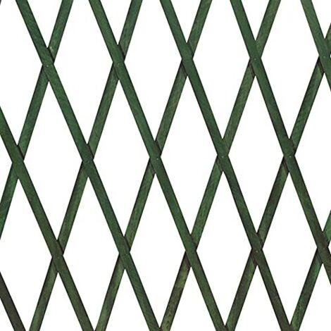 VERDELOOK Traliccio Estensibile Legno Verde 100x200