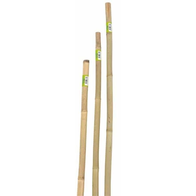 Set Di 20 Tutori Per Piante In Bambù Naturale - Altezza 40 Cm, Per Vasi E Giardino