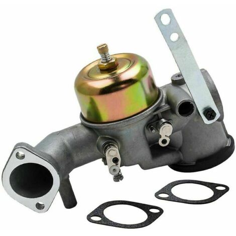 Vergaser kompatibel mit Gelenken für Briggs-Motoren 252702 252707 – AUTRES