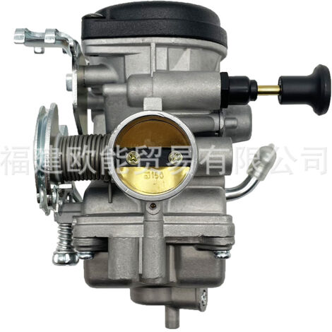 Vergaser passend für YBR125, XTZ125, YZF125, YB125, TW200, 125 Motorräder.