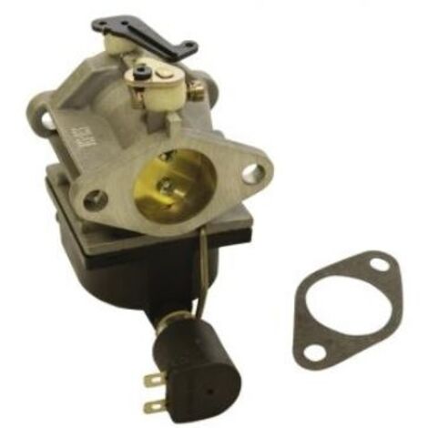 Vergaser passend zum Motor TECUMSEH Serie OHV140, OHV155, OHV16, OHV17