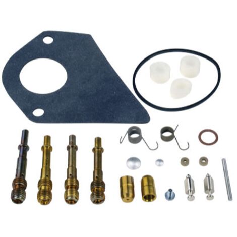 Vergaser-Überholungskit BRIGGS & STRATTON Motor 286700, 28N700, 196700