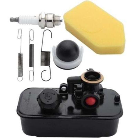 Vergaser und Kraftstofftank für Briggs & Stratton Motoren, inklusive Zündkerzen, Federn, Luftfilter und Anlasserpumpen. (Telefonnummern: 795469, 794147, 498809, 795477, 494406)