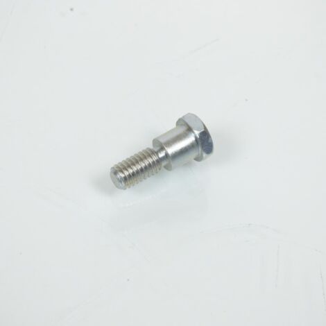 Vergaserscheibenachse für Solex 50 3800 Schulterschraube m6x1.00