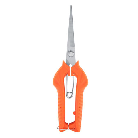 Vergrößerte Pflaumenbaumschere aus orangefarbenem Edelstahl mit rutschfestem Griff und Federsystem – 21,5 cm