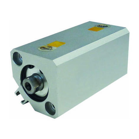 Vérin compact pneumatique RS PRO SQN Double Action , alésage de 32mm, course de 50mm ( Prix pour 1 )