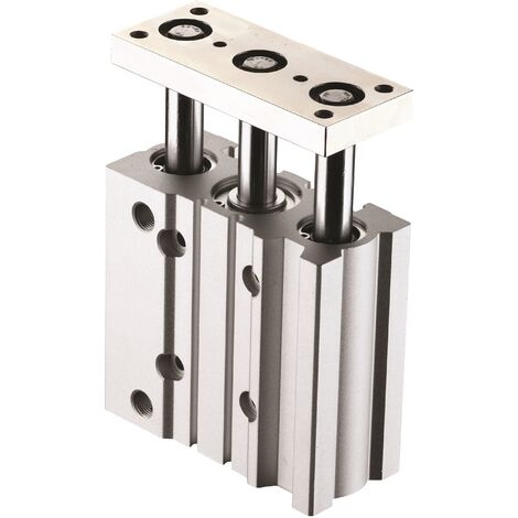 Vérin guidé pneumatique RS PRO SGM, course 25mm, Ø du piston 32mm, action Double ( Prix pour 1 )