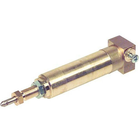 Verin hydraulique 3006499 (remplace 3005770)