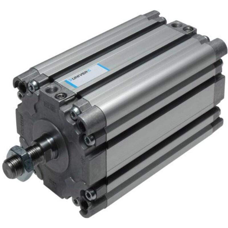 Univer - RM2000400050 Vérin profilé Longueur de course: 50 mm 1 pc(s)