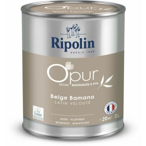 Vernice di Fondo Ripolin