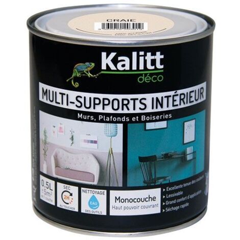 Pittura acrilica lavabile satinata BARBOUILLE - Per pareti, soffitti, mobili  e legno - 2,5L - Gris Nec mergitur