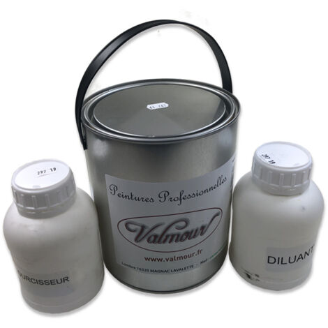 Vernis Protecteur OMNIVERNIS VALMOUR, 1 kg Incolore Satiné