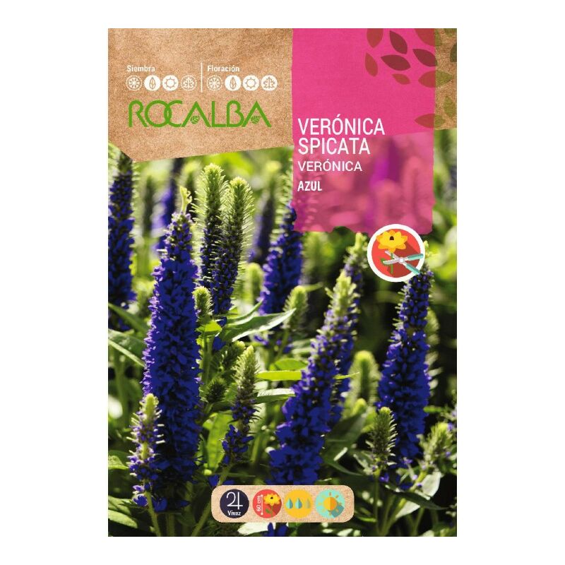 

Veronica Spicata Azul - Sobre De Semillas 1G