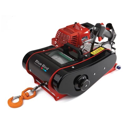 Wiltec Argano elettrico 480W Verricello a motore fino a 100/200kg Fune  12/6m funzionamento a