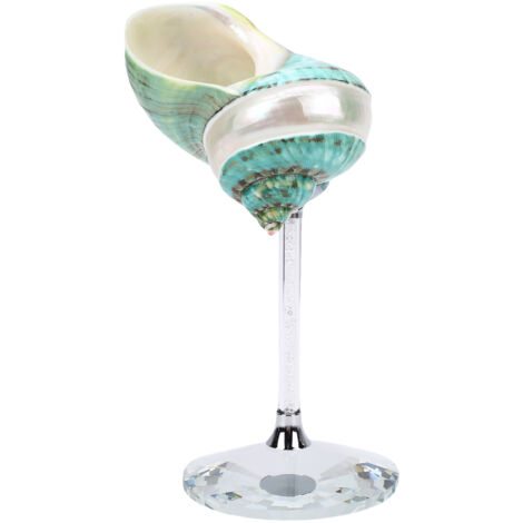 Verrine Cocktail Conque Naturelle - Verre à Cocktail Créatif Design Artisanal pour Soirées Mariage Bar - Goblet en Coquillage Plastique 295g - 6.7in