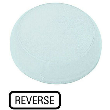 Verrine voyant lumineux blanc plate REVERSE EATON M22-XL-W-GB16