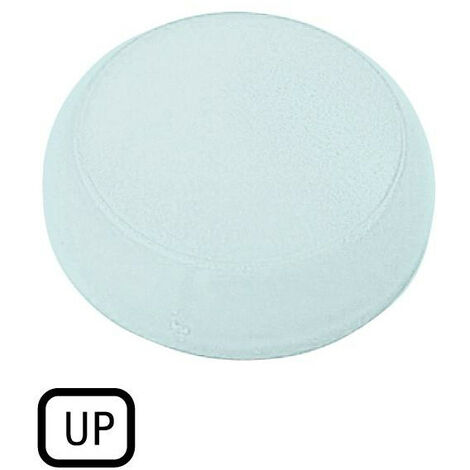 Verrine voyant lumineux blanc plate UP EATON M22-XL-W-GB3