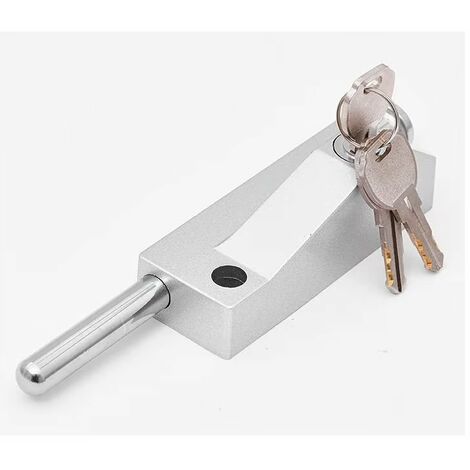 Verrou de porte multifonction pour porte de garage - Verrou de porte universel - Avec 3 clés - Pour usage intérieur et extérieur -Argent- Seuçais
