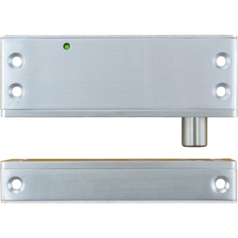 Verrou électrique compact Ap/Enc 5000 N rupture 12/24V DC Contact