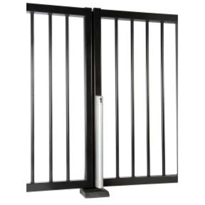 Verrouillage électrique Locinox