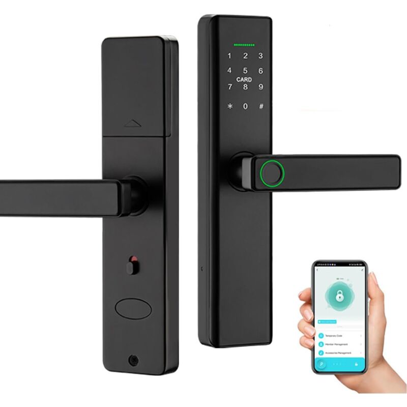 verrouillage de porte intelligent, entrée sans clé, anneau numérique biométrique, verrouillage électronique avec clavier pour la maison, application