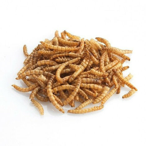 Vers de farine 1 kg, pour oiseaux - Vadigran - Multicolor