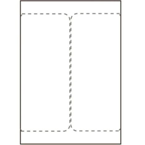 Versandetiketten 105 x 220 mm, für Laser-/Tintenstrahldrucker, 2 Stück/Bogen, 500 Blatt/Karton, SHIPLABEL105X220-I2P