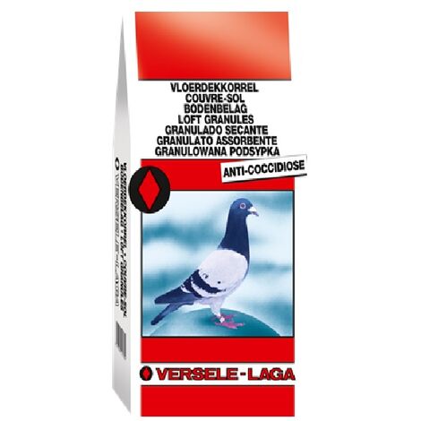 Versetto
