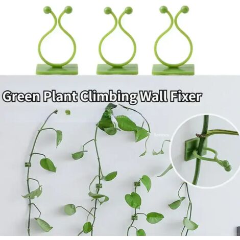 (Vert - L, 20 pièces) 20 clips de fixation pour plantes grimpantes, crochets de fixation pour rotin, tuteurs auto-adhésifs invisibles pour plantes grimpantes.