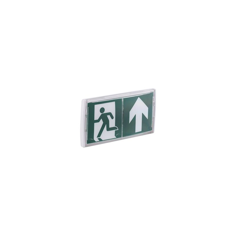 Vertiv Aees - 6997000 Apparecchio di evacuazione