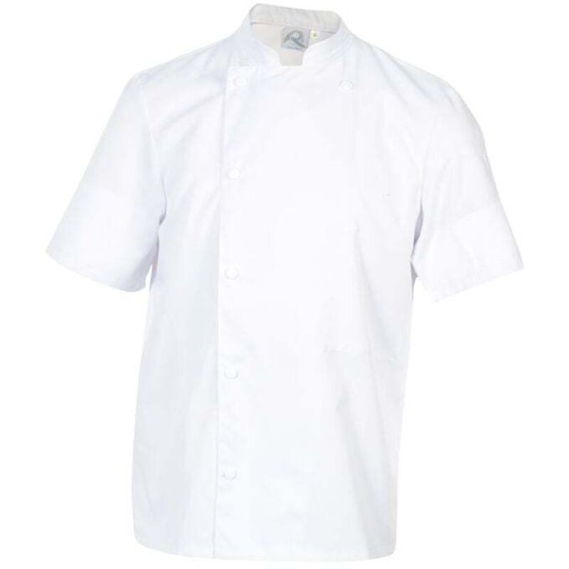 Veste de cuisine mixte manches courtes Robur Madras Blanc XL Veste de cuisine mixte manches courtes Robur Madras Blanc XL