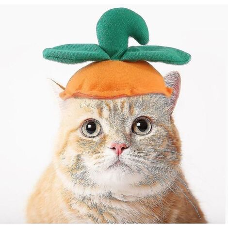 Vêtements amusants pour animaux de compagnie, chapeau citrouille pour Halloween, parfait pour petits et moyens chats et chiens