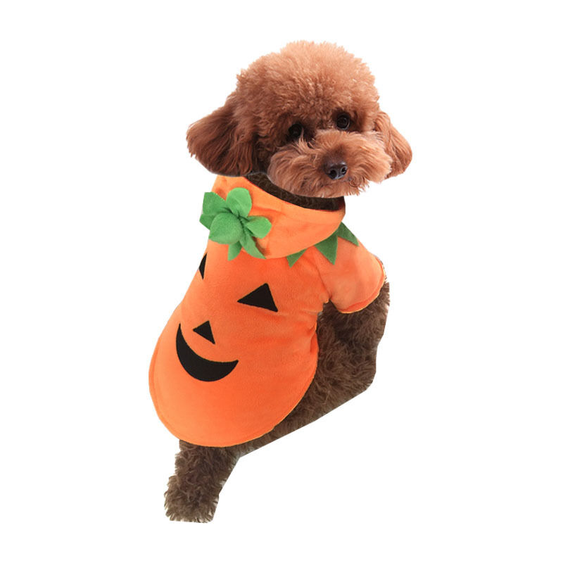 Ensoleille - Vêtements d'automne et d'hiver pour chiens et chats, Costume de citrouille, robe de Cosplay pour animaux de compagnie, chiot, polaire