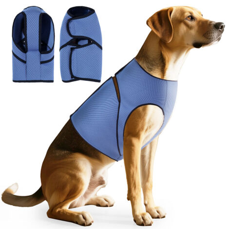 Vêtements de confort pour animaux de compagnie