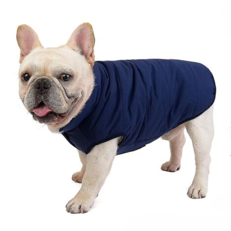 Vêtements pour bouledogue - Gilet en coton à boutons - Veste pour chien - Accessoires pour animaux de compagnie - Taille L - Bleu foncé