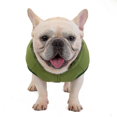 Vêtements pour bouledogue - Gilet en coton à boutons - Vêtements pour chiens - Accessoires pour animaux de compagnie - XXL - Vert