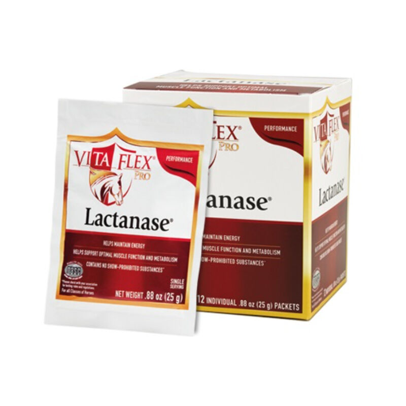 

LACTANASE 25 g - Polvo, Sobre Monodosis - Vetnova