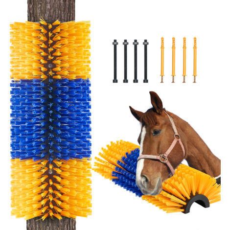 Box de Noel - Cadeau de Noel | Matériel équitation | promo