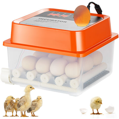 thumbnail image 2 of Incubadora De Huevos Automatica – 16 Huevos, Humedad Y Giro Automático, Gallina Pato Codorniz 2 of 3