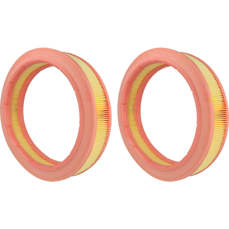 2x Cartouche filtrante compatible avec Kränzle Ventos 20 e/l, 30 e/l aspirateur sans fil - Filtre pour particules fines - Vhbw