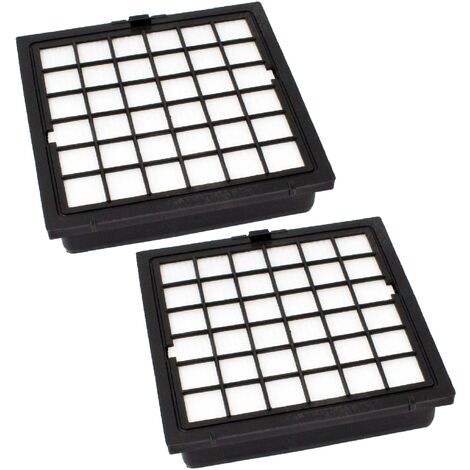 vhbw 2x filtre compatible avec Bosch Ergomaxx BSG 81455 / 14, BSG 82222 / 01 aspirateur - Filtre HEPA contre les allergies