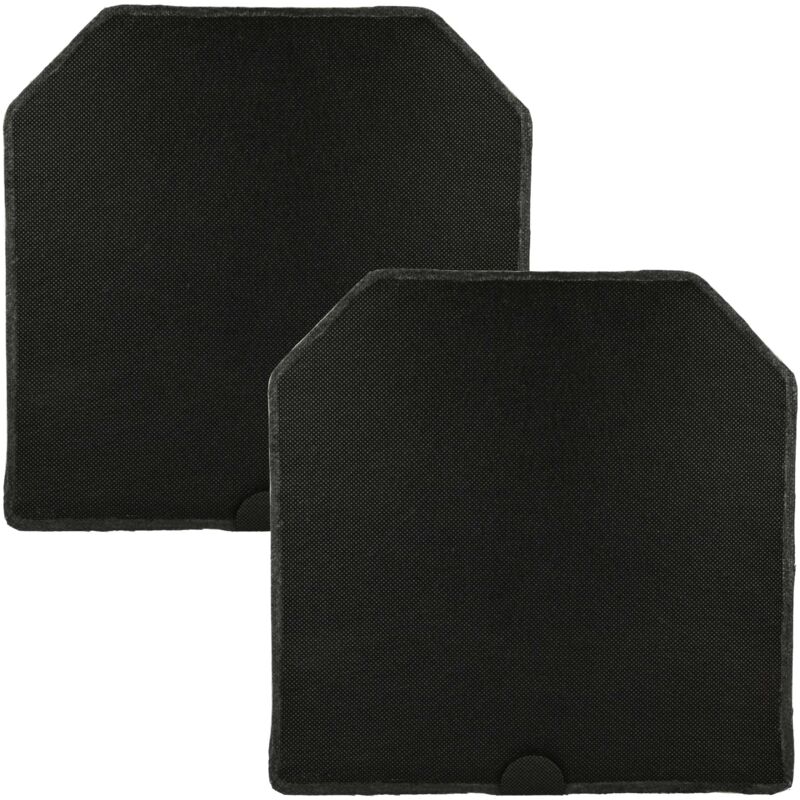 Vhbw - 2x Filtres à charbon actif remplacement pour Miele 5580291, dkf 9-1, 4002514268057 pour hotte aspirante - 24,5 x 24,5 x 2 cm