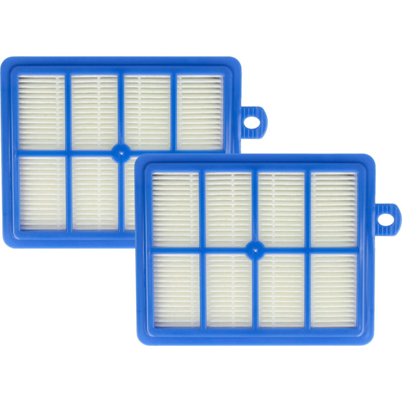Image of Vhbw - 2x filtro compatibile con aeg Air Max aam 6118, 6119, 6120, 6121, 6122, 6123 aspirapolvere - Filtro aria di scarico, bianco / blu