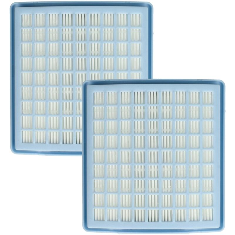 Image of Vhbw - 2x filtro compatibile con Miele S163 Electronic 1400, S163, S157, S163 Mondia 1200 Allergy Control aspirapolvere - Filtro hepa anallergico