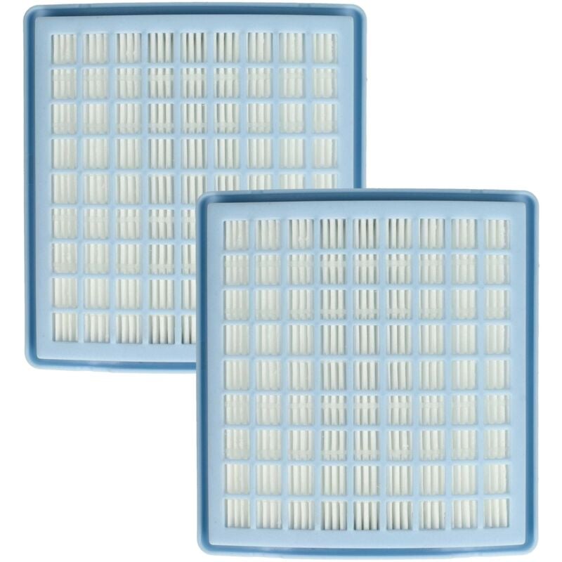 2x filtro compatibile con Miele S195, S194 Parkett...
