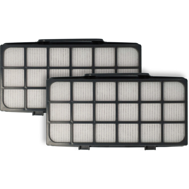 2x Filtro posmotor compatible con Rowenta Green Force Cyclonic Max RO7B12EA aspiradora - Filtro aire salida epa - Vhbw