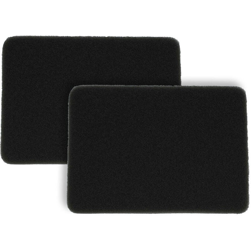 Vhbw - 2x filtro sostituisce Rowenta RS-RT4229