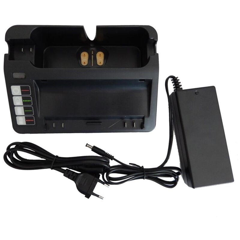 Caricabatteria compatibile con Cleaner Veluce R290...